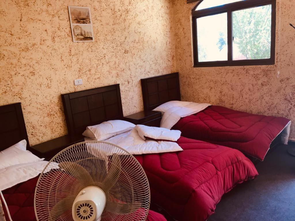 Appartement Petra Bedouin House à Al Hayy Extérieur photo