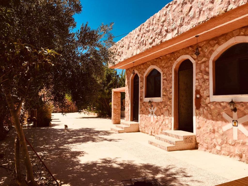 Appartement Petra Bedouin House à Al Hayy Extérieur photo