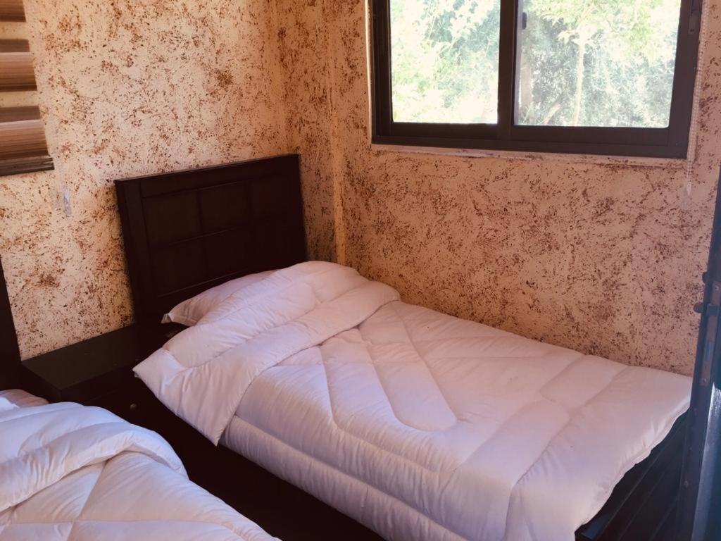 Appartement Petra Bedouin House à Al Hayy Extérieur photo