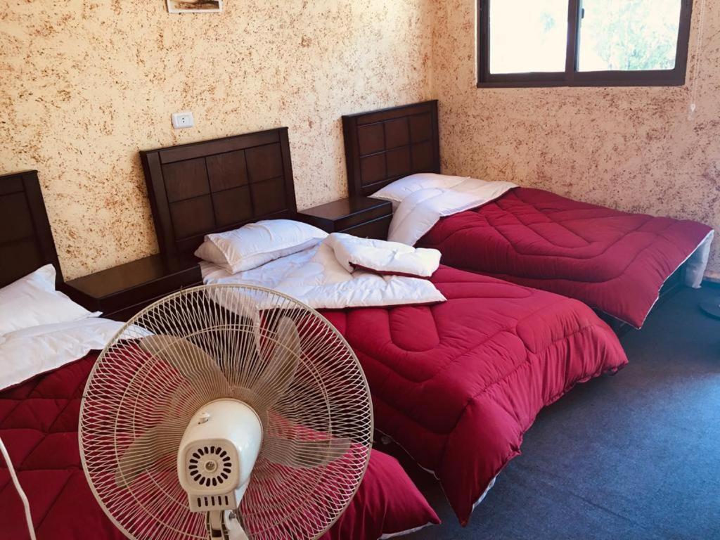 Appartement Petra Bedouin House à Al Hayy Extérieur photo